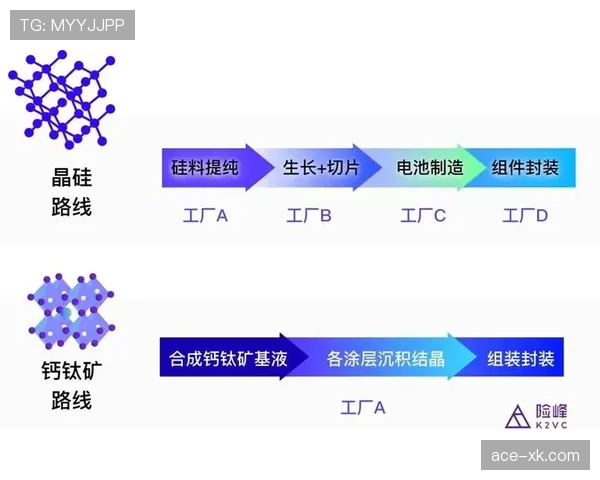 G组黑马机会与风险分析